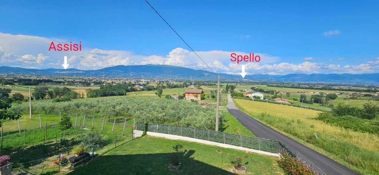Limigiano Delizioso Appartamento Collinare מראה חיצוני תמונה